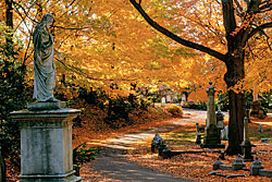 Highlights: 175th Anniversary of Mount Auburn Cemetery