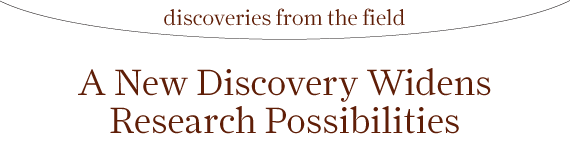 Discoveries from the Field: A New Discovery Widens Research Possibilities