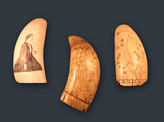 A Selection of our Period Scrimshaw
