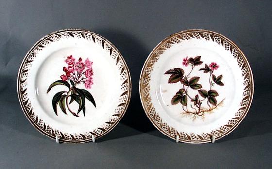 Pair of Derby Porcelain Botanical Plates