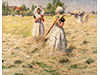 <i>Haymakers, Zeeland</i>