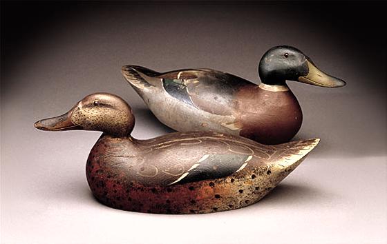 Premier Grade Mallard Pair
