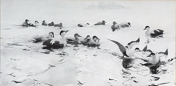 <i>Eiders at Play</i>