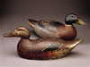 Premier Grade Mallard Pair