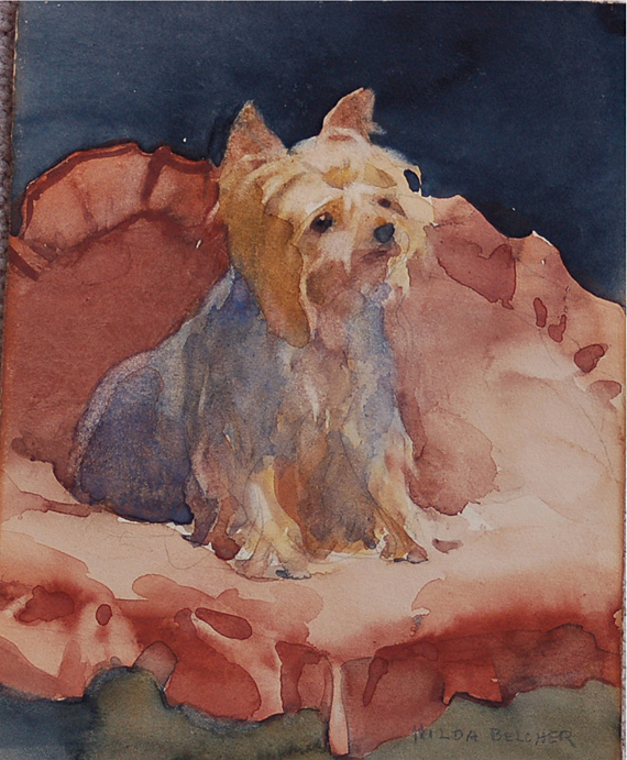 Yorkie