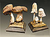 French Hand-Painted Plaster Cast Mushroom Replicas