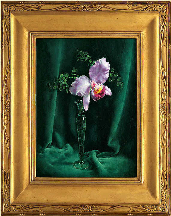 Orchid