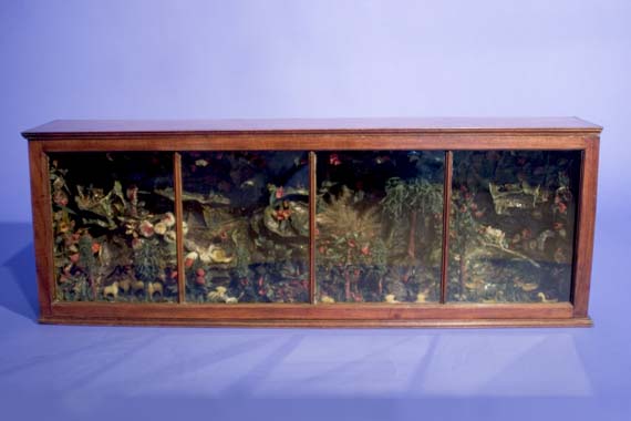 Very Rare Mahogany Shadow Box