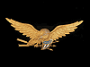 Gilded & Polychromed Spread Wing Eagle